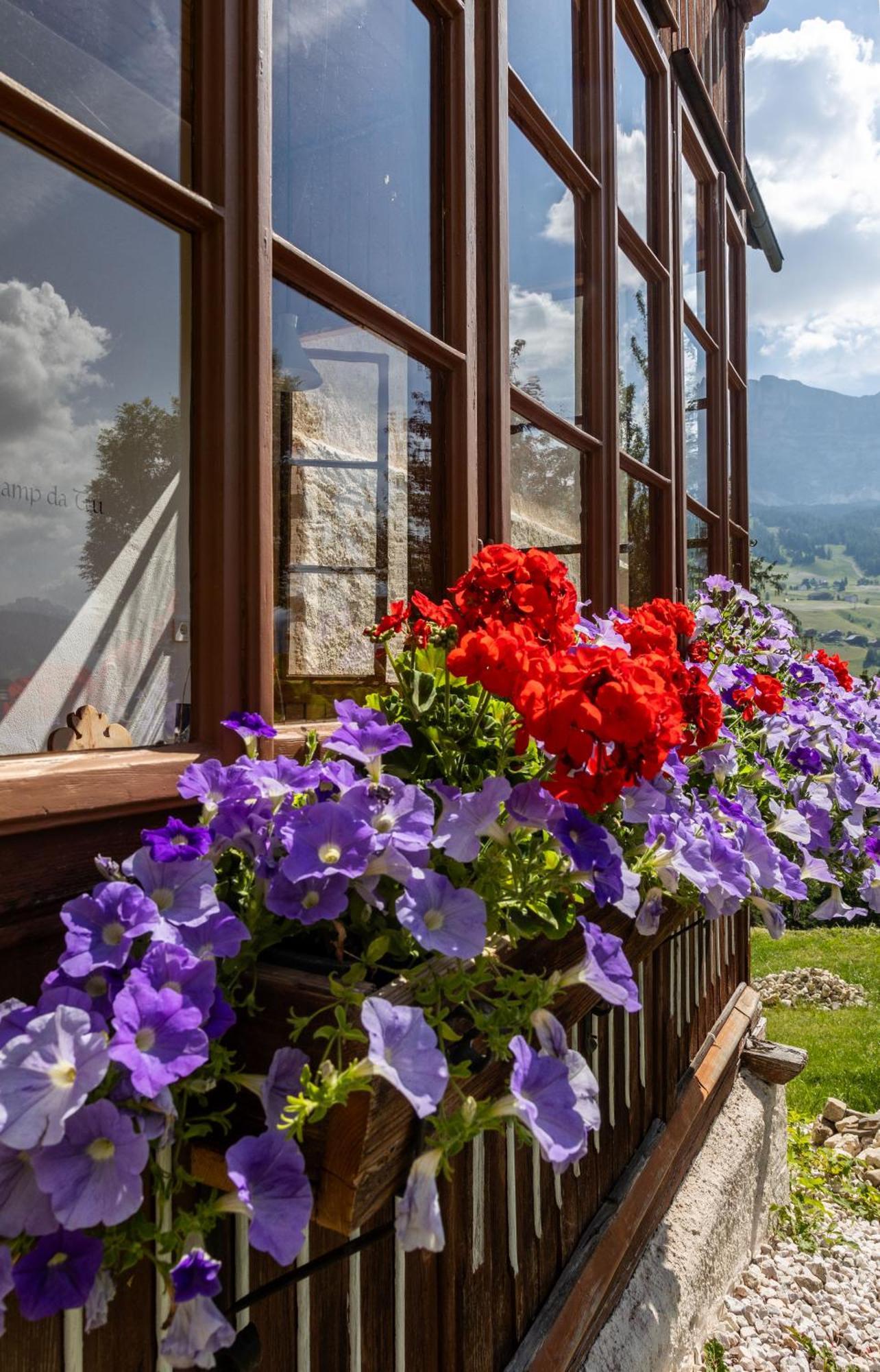 Agriturismo Maso Runch バディーア エクステリア 写真